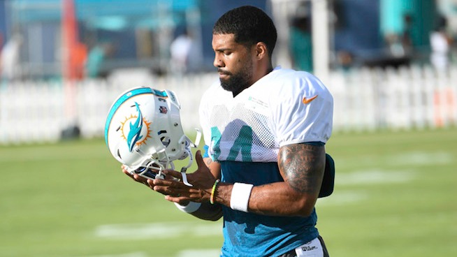 Arian-Foster-Dolphins